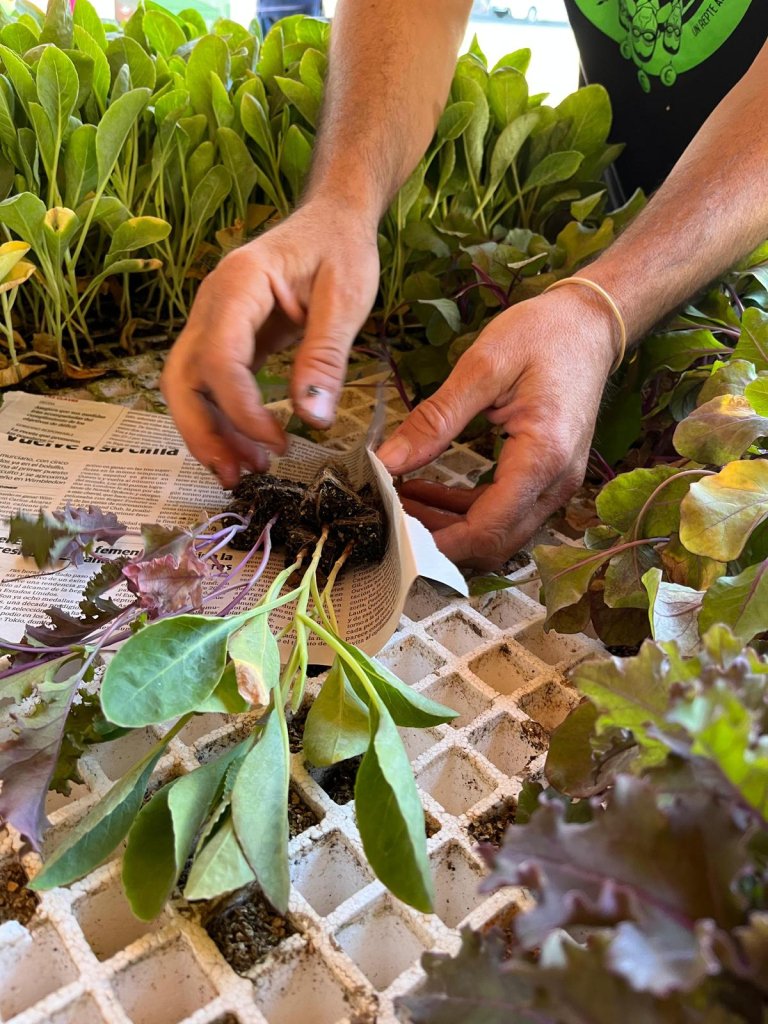 arija-ecomercado-02 Dinamización ecomercado