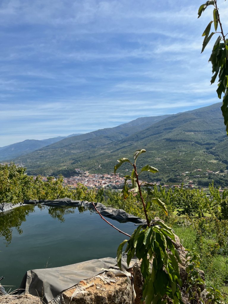 arija-jerte-02 arija-jerte-02