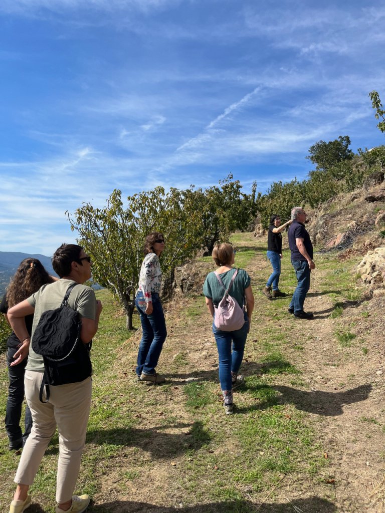 arija-jerte-03 arija-jerte-03