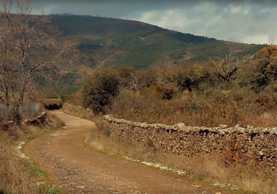 arija-repoblando-07 arija repoblando